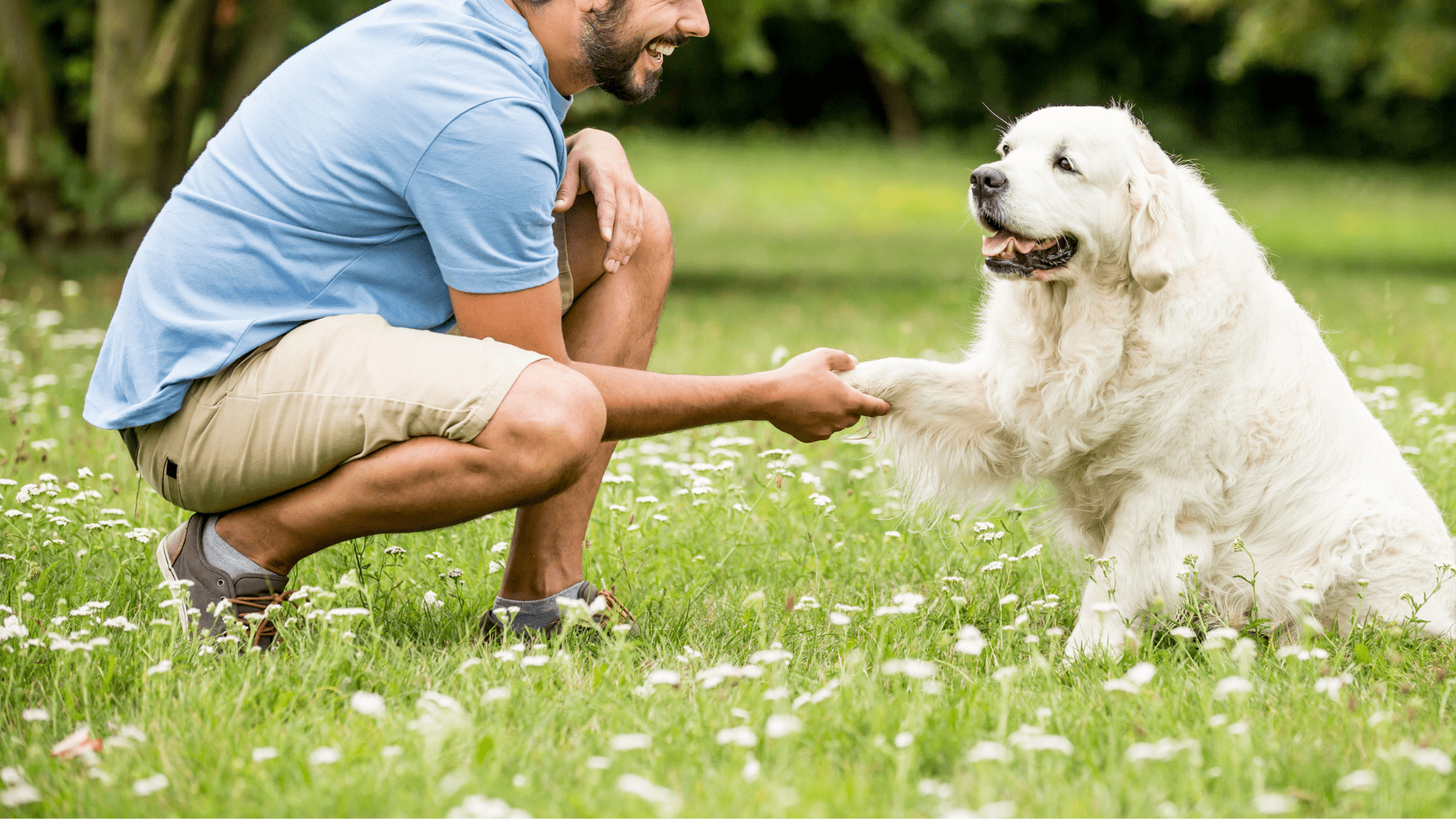 New Patient Form Gentry Veterinary Clinic
